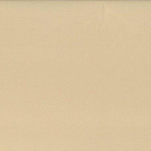 Painter's Palette Solids - Sand Dollar 121-144