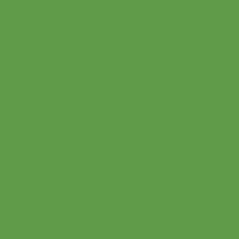 Painter's Palette Solids - Paradise 121-165